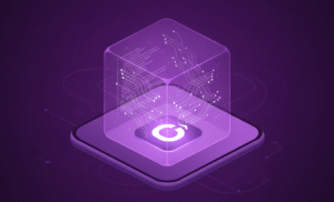 diferença entre software e aplicativo